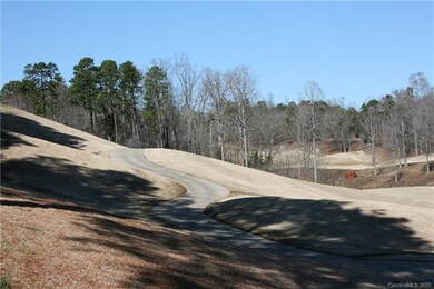 Lot 14 Verdict Ridge Dr unit 14, Denver, NC 28037 - photo 4