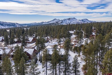 160 Clear Creek Loop, Durango, CO 81301 - photo 3