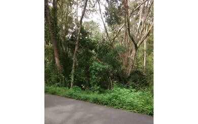 0 Ash Dr unit 101670, Lake City, FL 32055 - photo 2