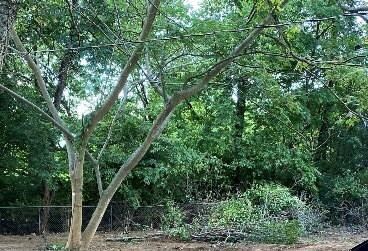 0 Redbud Trail unit 1167011, West Fork, AR 72774 - photo 3