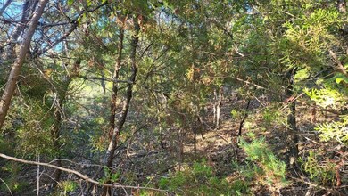 21029 Trailwood Dr, Whitney, TX 76692 - photo 7