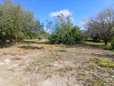 5410 Victory Ave, Edinburg, TX 78542 - photo 4