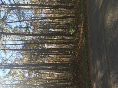 lot 7 Bell Rd, Crossville, TN 38571 - photo 2