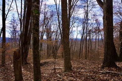 323A White Oak Flatt Rd, Sparta, TN 38583 - photo 7