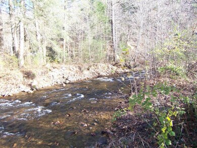 Laurel Fork Creek in back