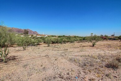 0007-Muleshoe (6)