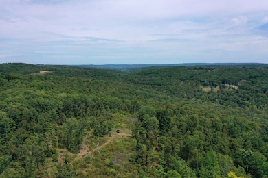 000 Highway 16 E, Clinton, AR 72031 - photo 5