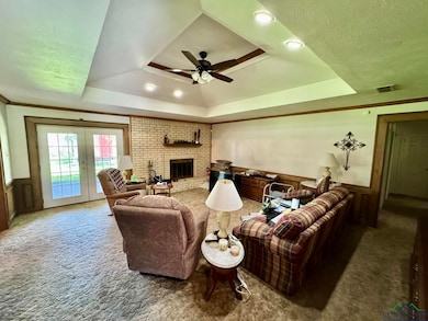 Living room featuring a raised ceiling, carpet, wainscoting, ceiling fan, and french doors