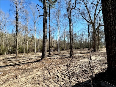 4 Acres Rob Thomas None, Franklinton, LA 70438 - photo 4