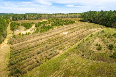 Drone View