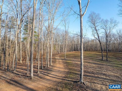 Lot 12 Grey Heron Rd unit 12, Keswick, VA 22947 - photo 6