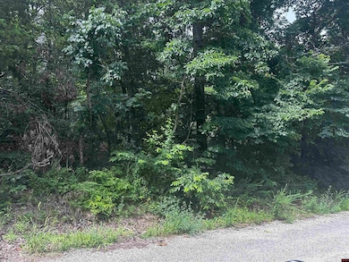 Lts 35-37 River Ranch Rd, Mountain Home, AR 72653 - photo 3