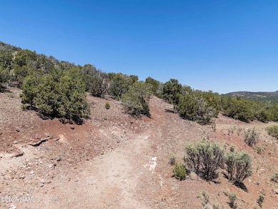 1330 Painted Pony Ln, Williams, AZ 86046 - photo 5
