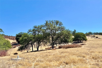 54421 Bradley Lockwood Rd, Bradley, CA 93426 - photo 6