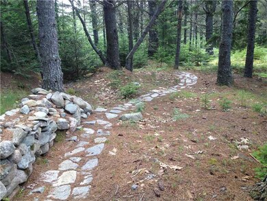 Land. Lovely land with pine needles.