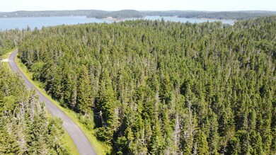 34 Yoho Head Rd, MacHiasport, ME 04655 - photo 7
