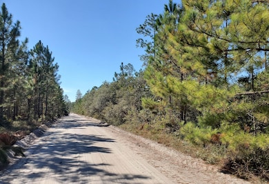 0 SW Prine Rd unit 19597163, Lee, FL 32059 - photo 3