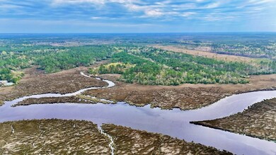 US Highway 17 unit Sanderling Trace, Waverly, GA 31565 - photo 2