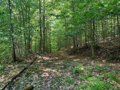 00 Farr Rd, Saint Johnsbury, VT 05819 - photo 2