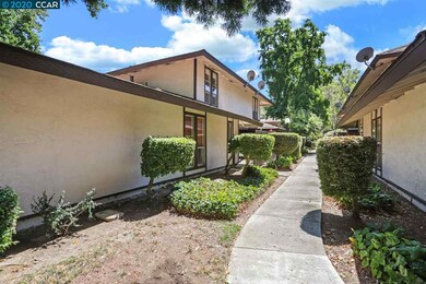 Sidewalk to front entry gate