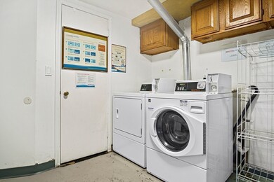 243 Lake St unit 1, Waltham, MA 02451 - photo 7