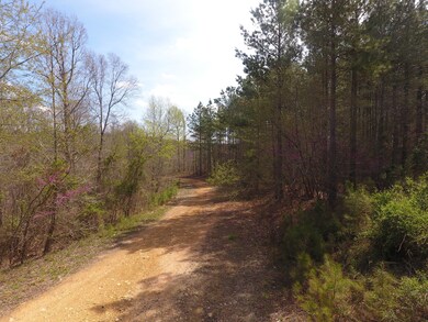 0 Mathis Cemetery Rd unit 2170286, Stewart, TN 37175 - photo 5