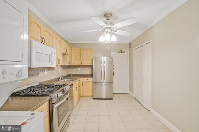 Skyline Plaza unit 1116N, Baileys Crossroads, VA 22041 - photo 5