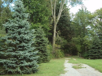 DSC06681