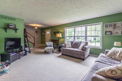 MLS living 2