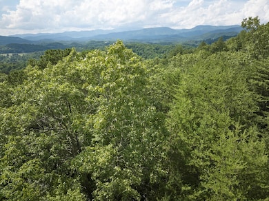 102 Canvas Back Ct, Whittier, NC 28789 - photo 2