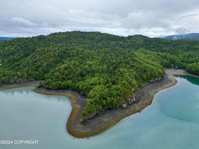 L2B Bear Cove, Homer, AK 99603 - photo 3