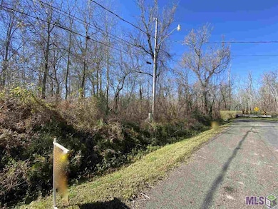 # 14 Magnolia Dr, Laplace, LA 70068 - photo 4