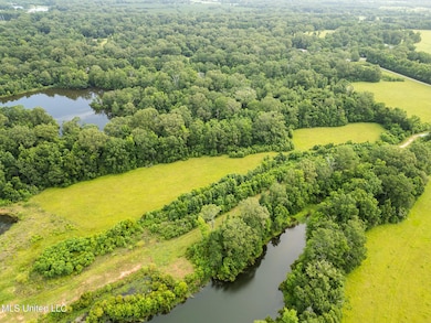 403 Mount Pleasant - Zachary Rd, Zachary, LA 70791 - photo 3