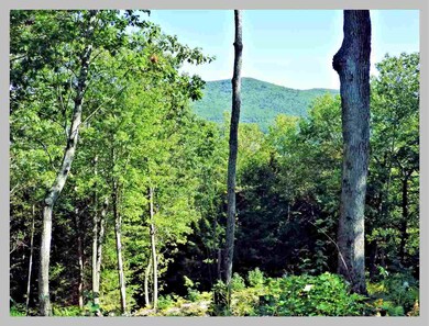 Lot #11 Point of View Dr, Plymouth, NH 03264 - photo 3