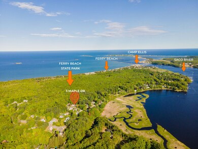 3-web-or-mls-DJI_0003