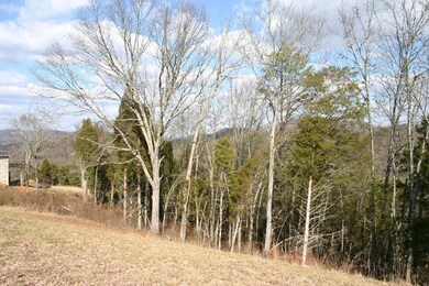 TL lot 24 mountain views