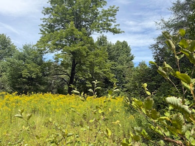 Lot 14 Dead River Rd, West Bowdoin, ME 04287 - photo 2