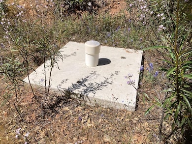 16688 Sonshine Ln, Sutter Creek, CA 95685 - photo 4