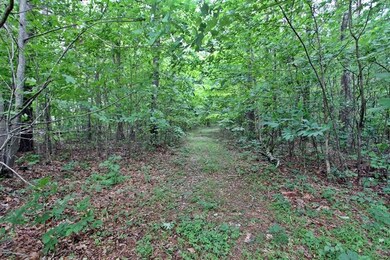 Shivas Crest Lot 70BIMG_0067