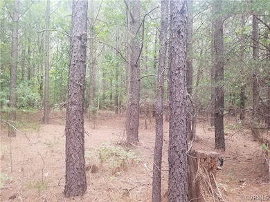 1600 Chopping Rd, Mineral, VA 23117 - photo 6