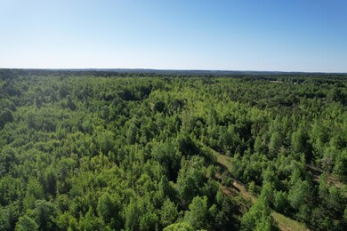 DJI_0332