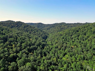 unlisted-address, Jacksonburg, WV 26377 - photo 6