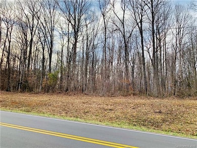 9.98 ac Mocksville Hwy, Statesville, NC 28625 - photo 2