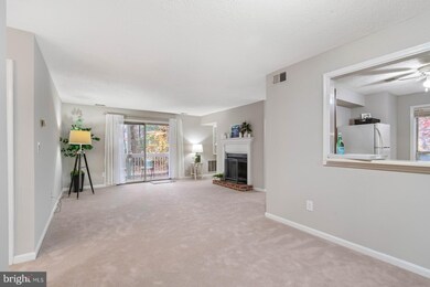 12197 Cardamom Dr, Woodbridge, VA 22192 - photo 6