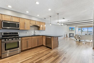 4 Shoreline Place, Spring Park, MN 55384 - photo 4