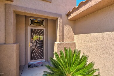 19442 N Desert Mesa Dr-7