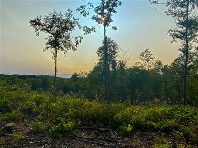 00 Hill Rd unit M:12 B10 L:B, Alstead, NH 03602 - photo 2