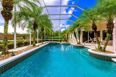 Custom Tropical Pool