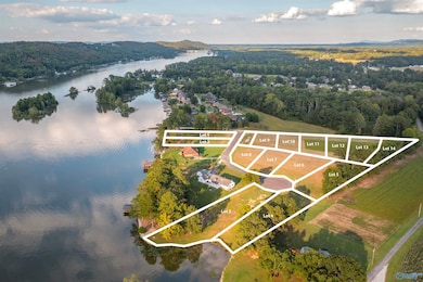 2790 Lake Forest Ct, Southside, AL 35907 - photo 4