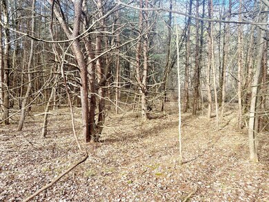 IMG-4975